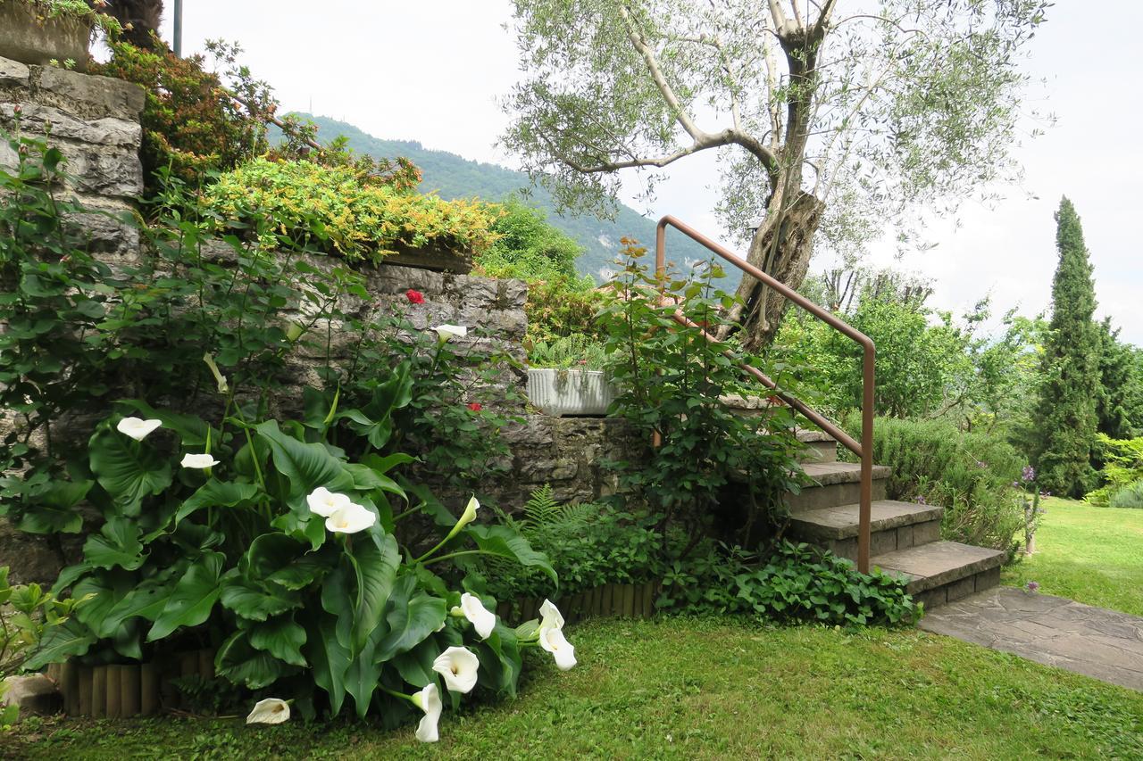 Bellagio Lake View Villa Oliveto Lario Exterior foto