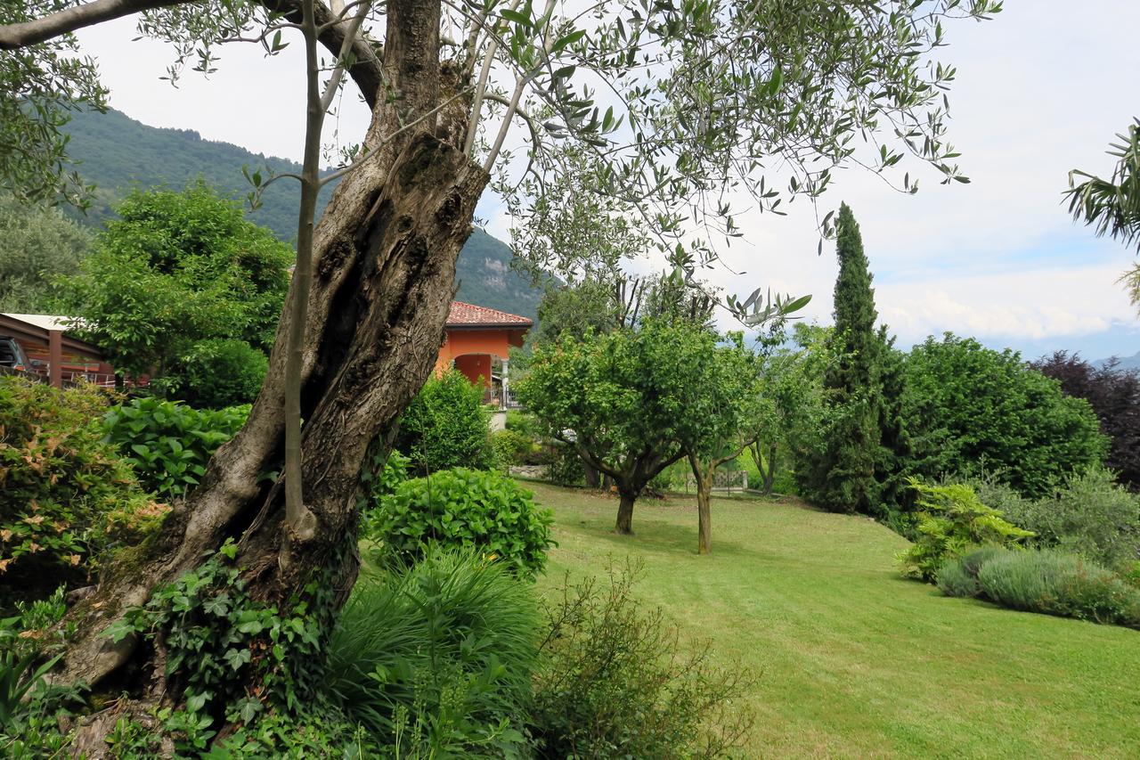 Bellagio Lake View Villa Oliveto Lario Exterior foto